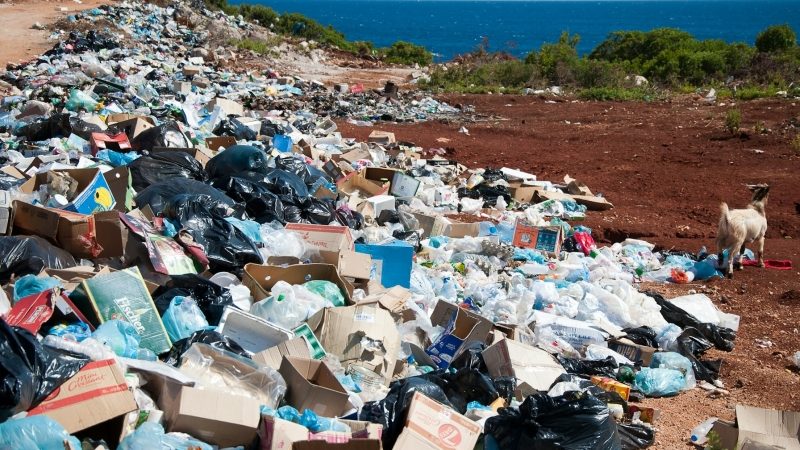 Waste-to-Energy – die Grenzen eines großen Versprechens